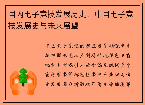 国内电子竞技发展历史、中国电子竞技发展史与未来展望